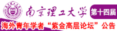 性高潮操逼抽插视频南京理工大学第十四届海外青年学者紫金论坛诚邀海内外英才！